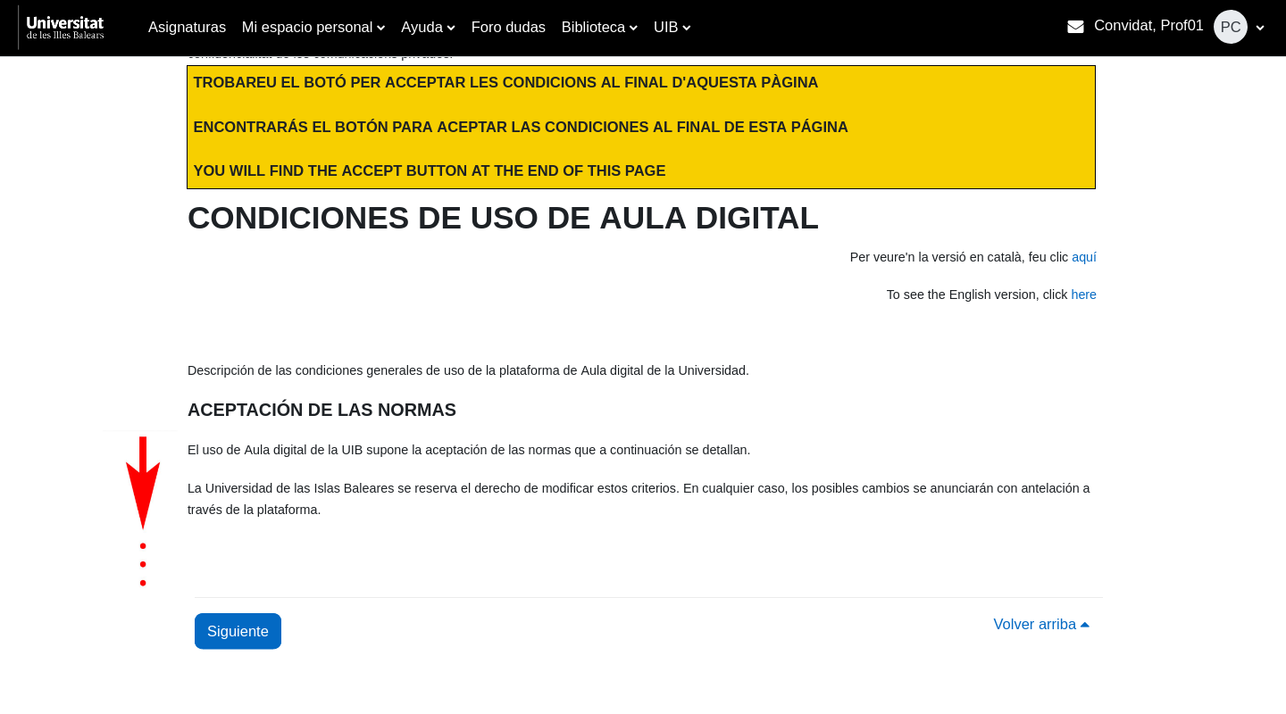 Imagen que contiene texto, captura de pantalla de las condiciones de uso.
